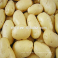 Preis für Frühkartoffeln aus China